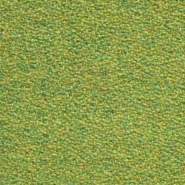 Flora 2_486  Kvadrat